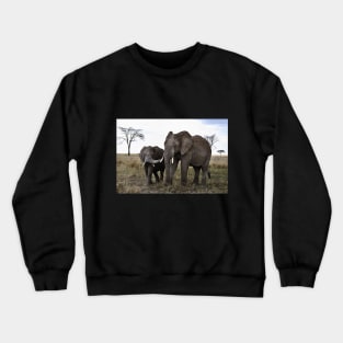 African Elephants Crewneck Sweatshirt